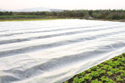 Capillary-Matting-For-Horticulture Capillary-Matting-For-Horticulture